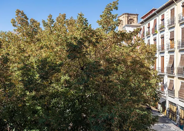 Dreaming Bib Rambla - Free Parking Apartman