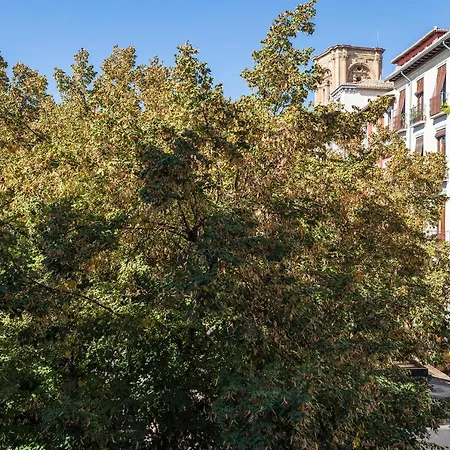 Dreaming Bib Rambla - Free Parking Διαμέρισμα